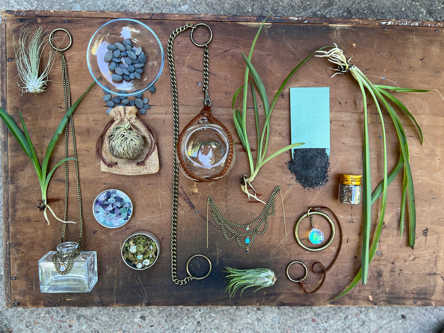 Roots and Rites - the Curated Collection